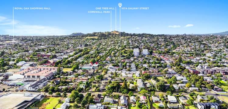 107a Galway Street Onehunga_15