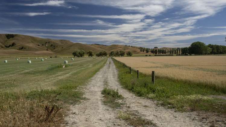 1231 Longbush Road Carterton_14