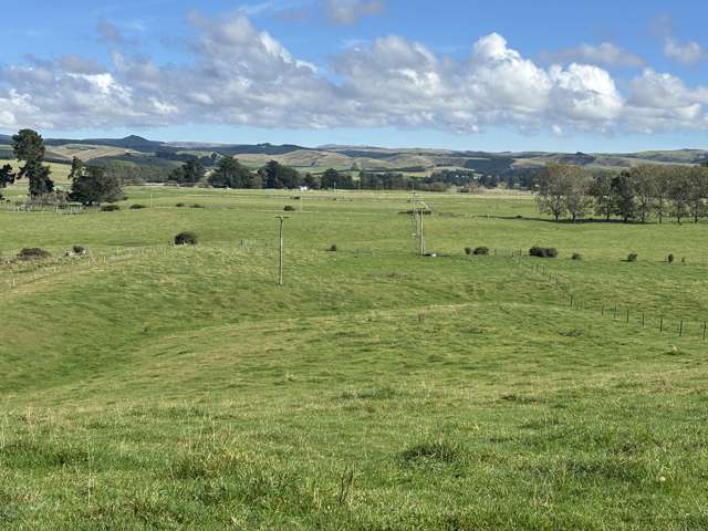 Blacks Road Palmerston_2