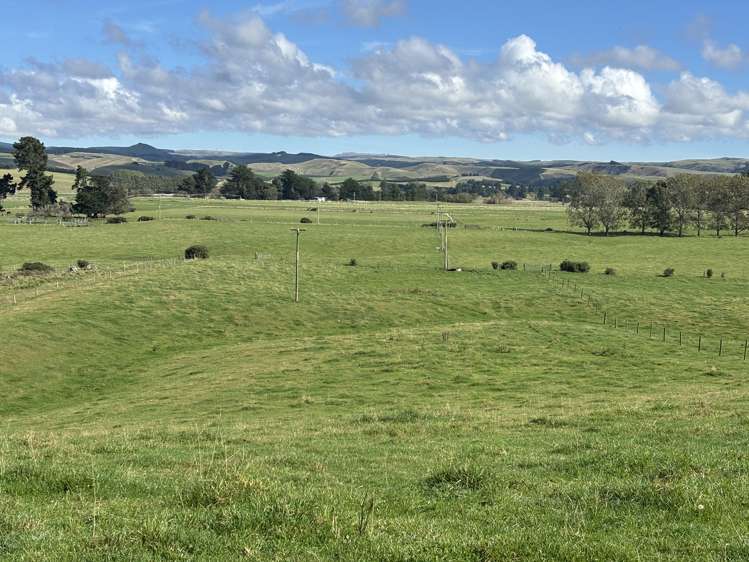 Blacks Road Palmerston_2