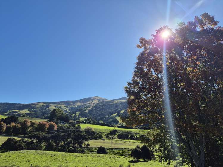 282 Wainui Main Road French Farm_18