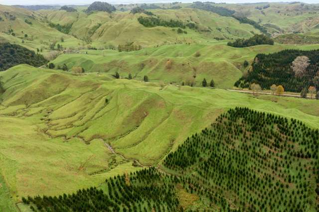 124 Haku Road Mangaotaki_4