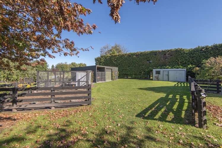 11 Raven Drive Springston_24