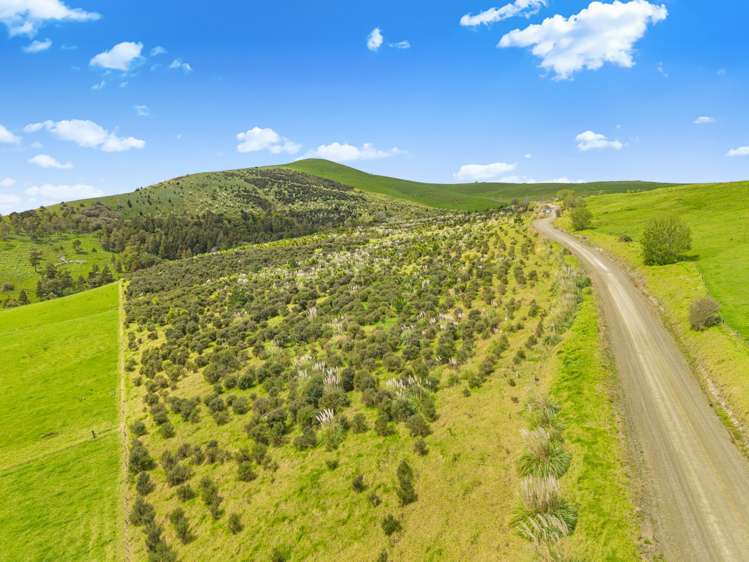 Te Kowhai Road Matakohe_12