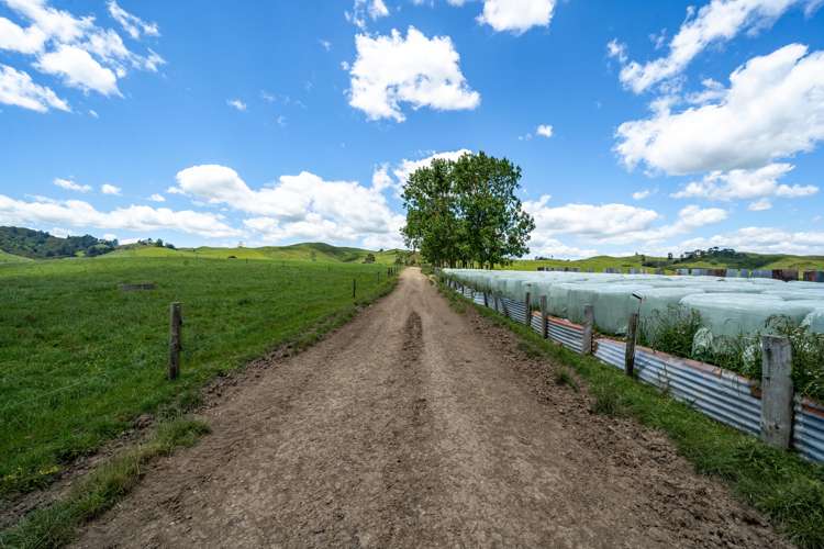 360 Manuel Road Tauhei_7