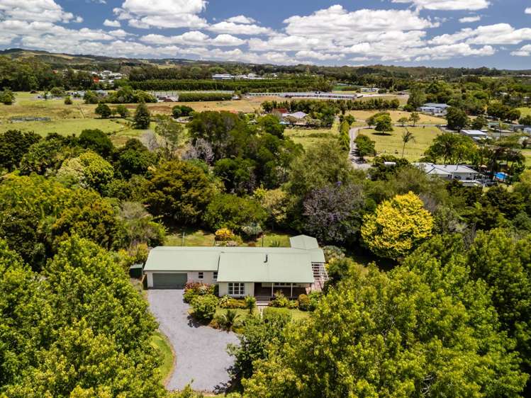 305 Waipapa Road Kerikeri Surrounds_35