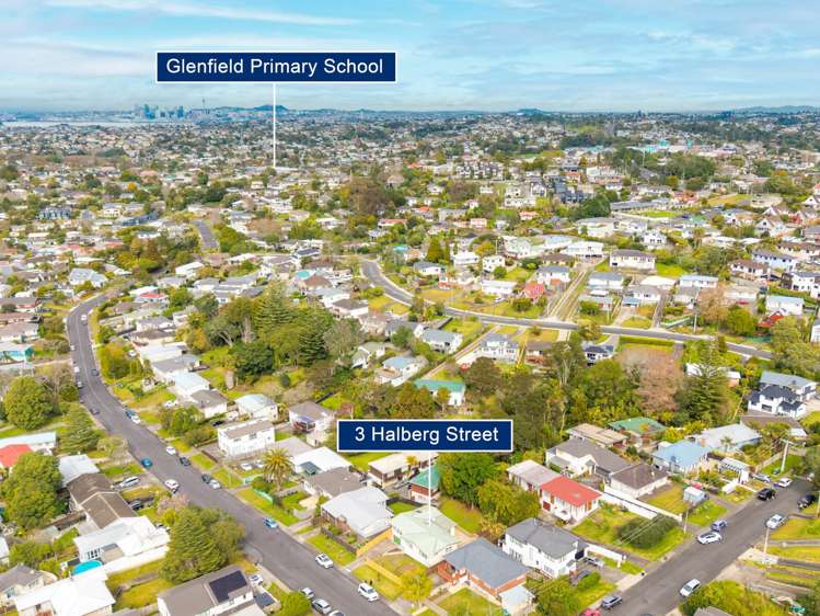 3 Halberg Street Glenfield_30