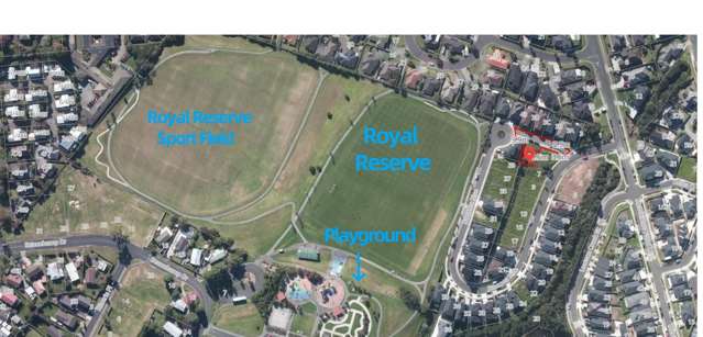 5a Baumea Rise Massey_1