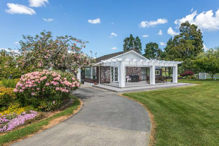 774 Buckland Road Matamata_16