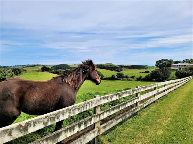 370 Rehutai Road Dargaville Surrounds_2