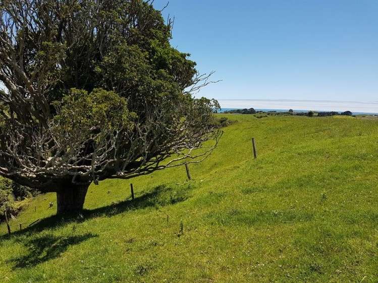 80 Koru Road Omata_10