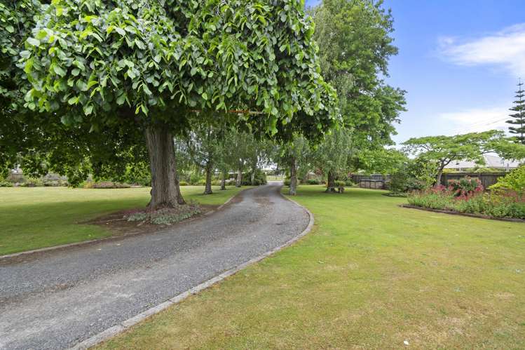 19 Johnson Street Bulls_31