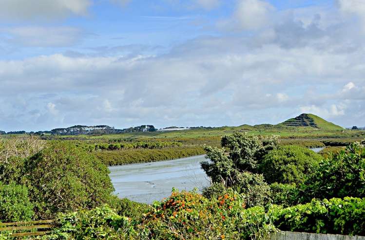 12 Pureora Place Clendon Park_0