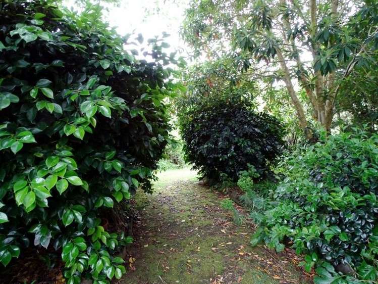 55 Thames Road Paeroa_9