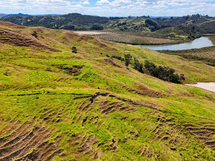 Brindle Road Opononi_8