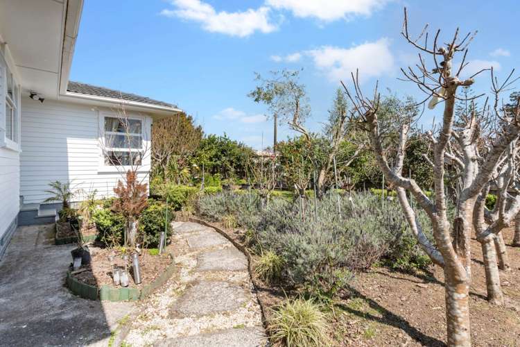 36 Edinburgh Avenue Rosehill_23