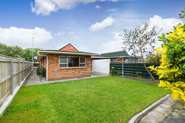 47a Haydon Street Roslyn_3