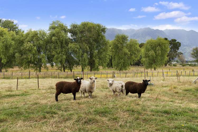 70 Bossons Road Te Aroha_23