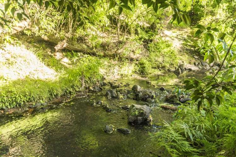 1604b Great North Road Waterview_16