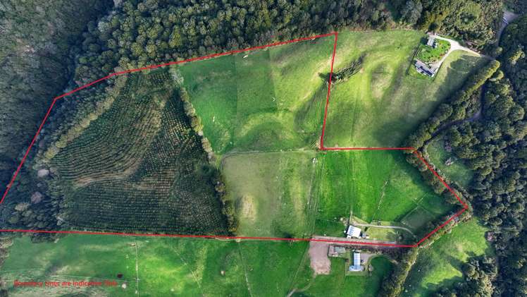 271 Endean Road Ngongotaha Valley_17