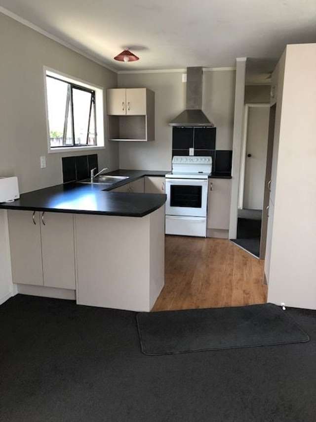 157C Nixon Street Hamilton East_2