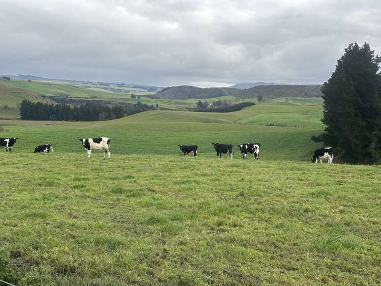 158 Kowhatu Road Waimate_27