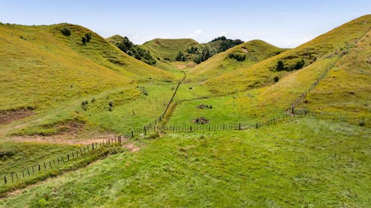 162 Standish Road Toko_20