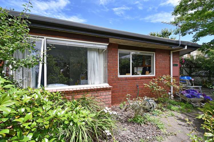 25 Tasman Street The Wood_15