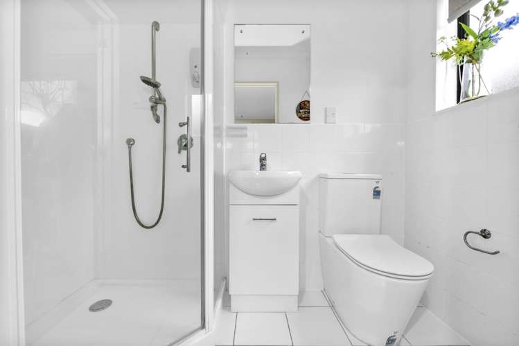 23 Mandival Avenue Flat Bush_11