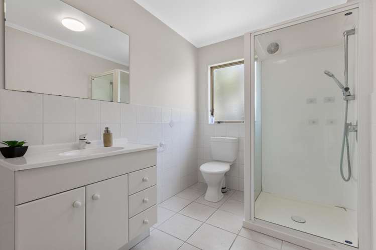 22 Poturi Streams Avenue Titirangi_12