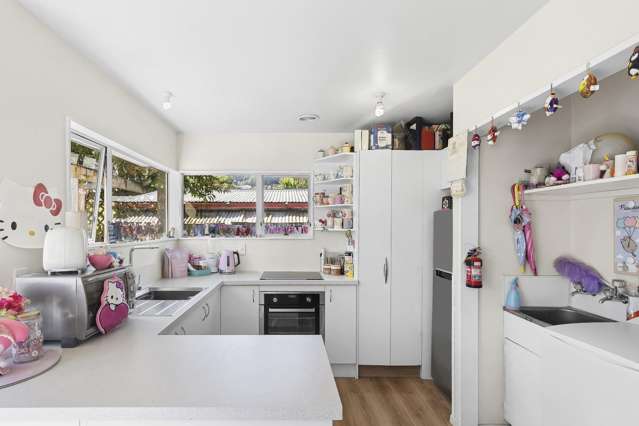 12a Totara Street Nelson South_4