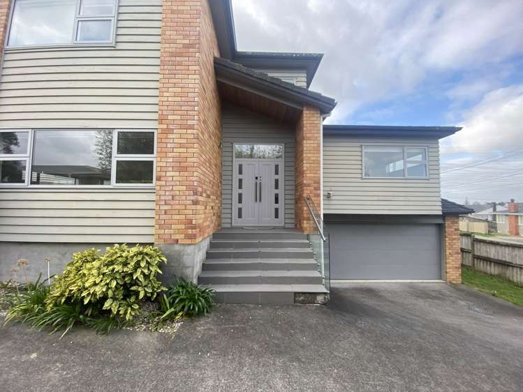 45 Ellis Avenue Mt Roskill_25