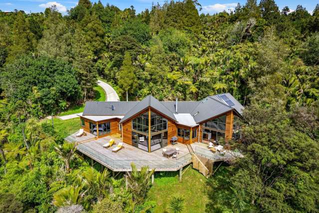 Waitakere home gives a glimpse of life above the canopy