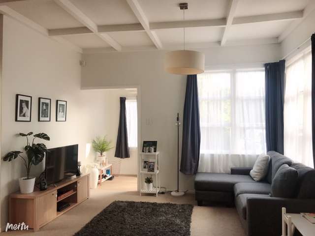 34 Wilkinson Road Ellerslie_3