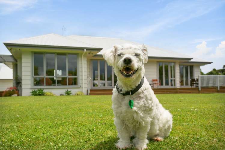 21a Burwood Road Matamata_20