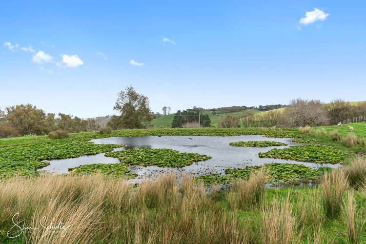 207 Doctors Hill Road Maungaturoto_40