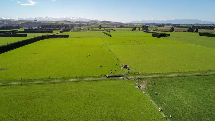 140 Hacketts Road Darfield_11