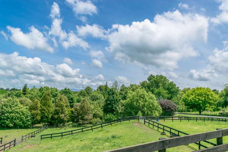 41 Sheehan Street Kihikihi_17