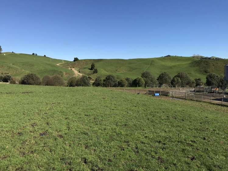 1232 Ngaroma Road Wharepuhunga_17