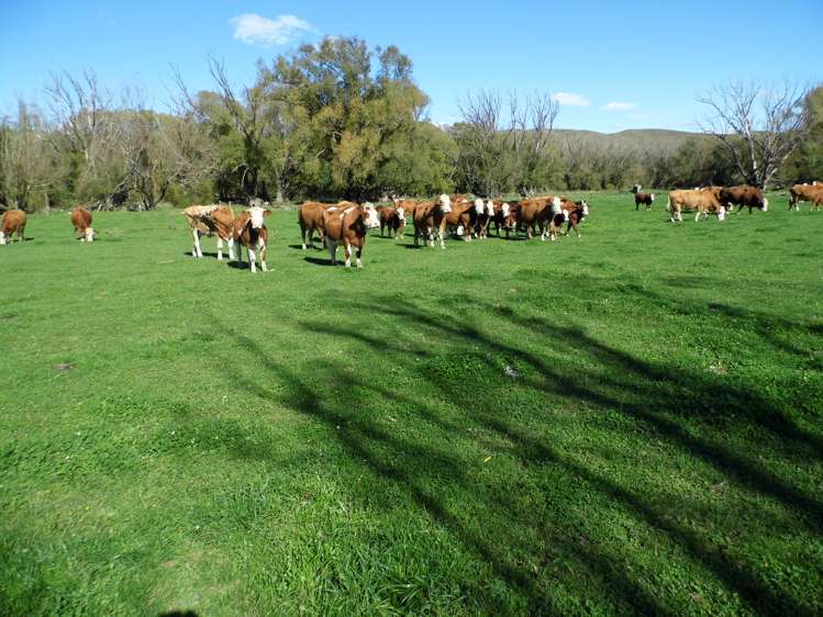812 Hakataramea Valley Road Hakataramea Valley_9