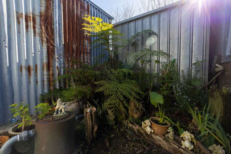 1 Mccarthy Street Waihou_6