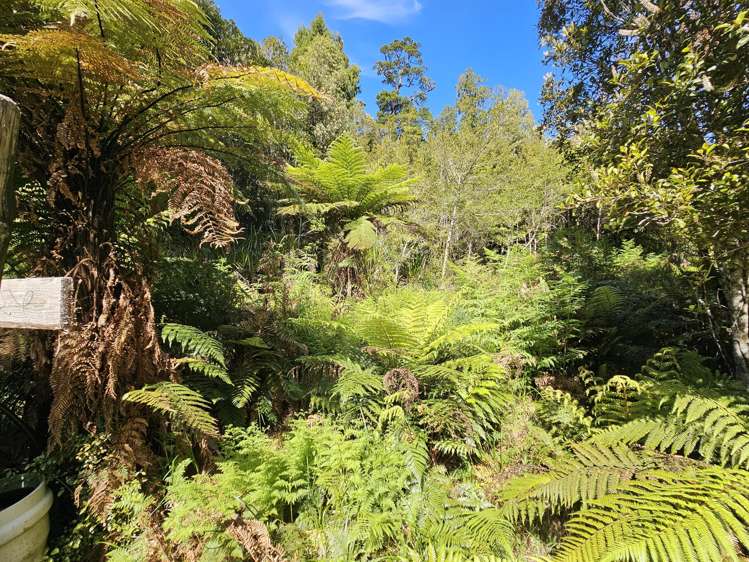 215 Clifton Road Kaiata_18