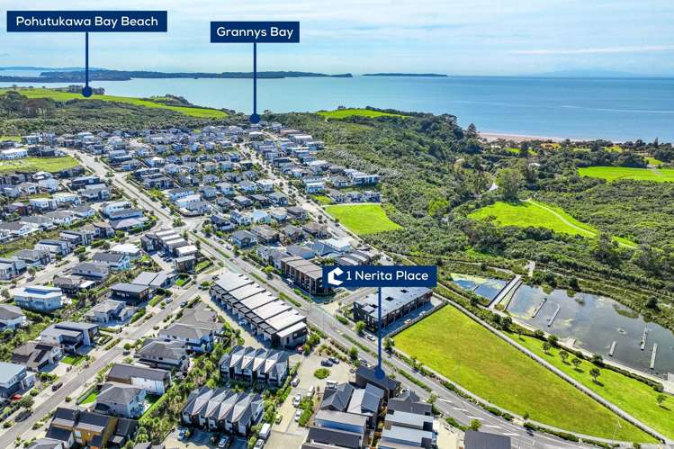 1 Nerita Place Long Bay_28