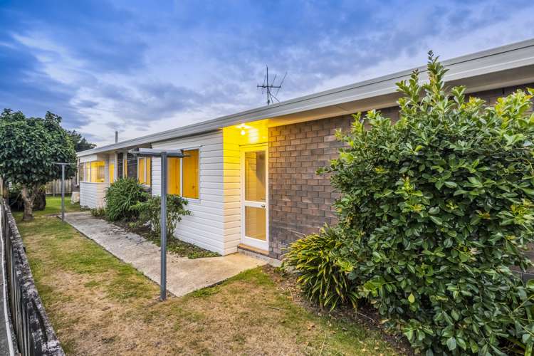 10 Alexander Street Kingsland_5