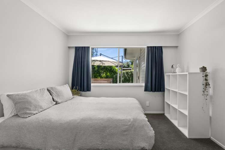 31 Simla Avenue Havelock North_13