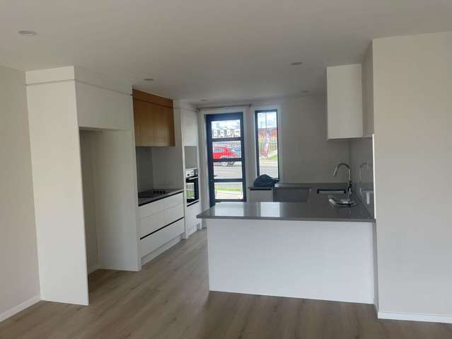 1 Lemon Tree Lane Flat Bush_3
