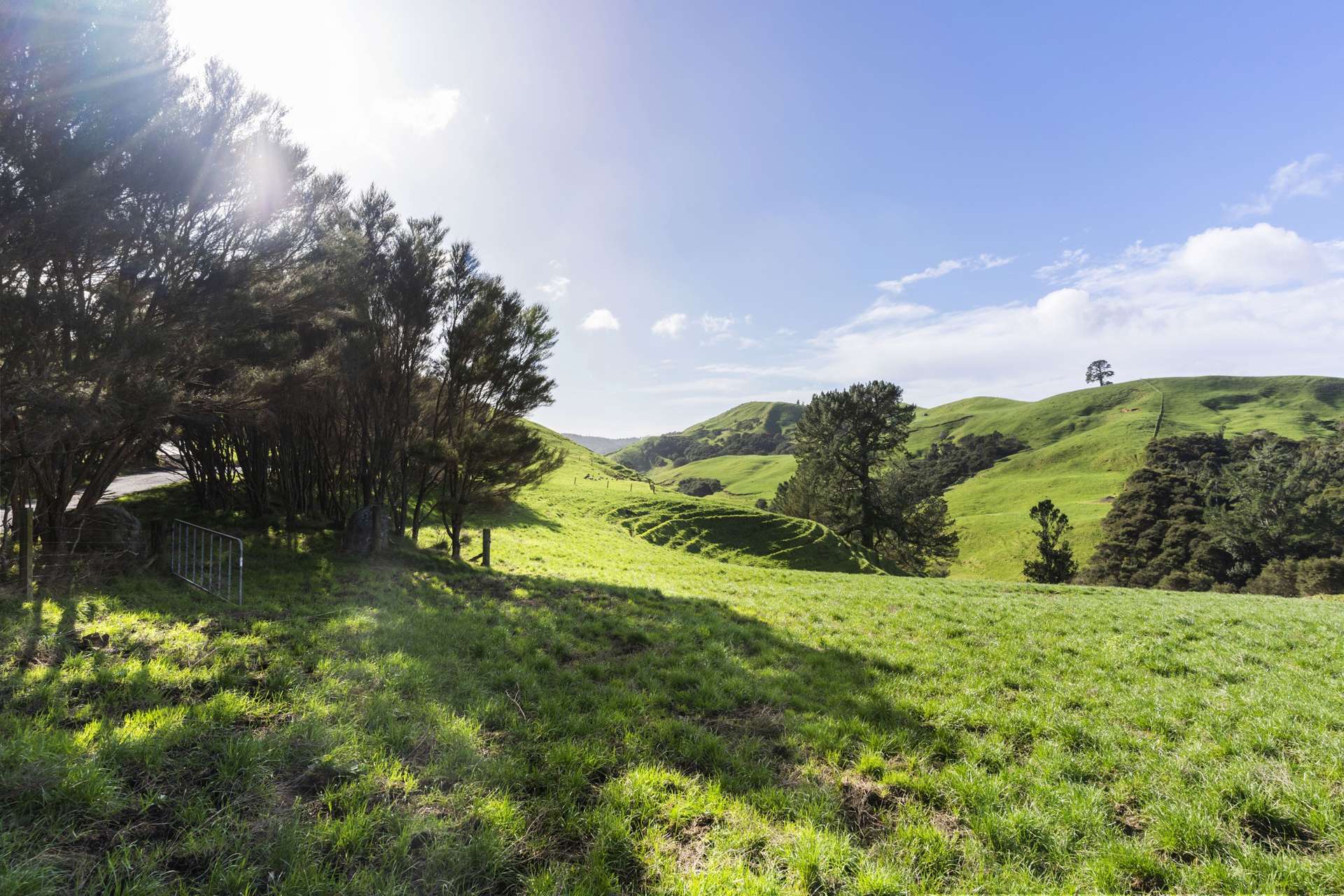 309C Wentworth Valley Road Whangamata_0