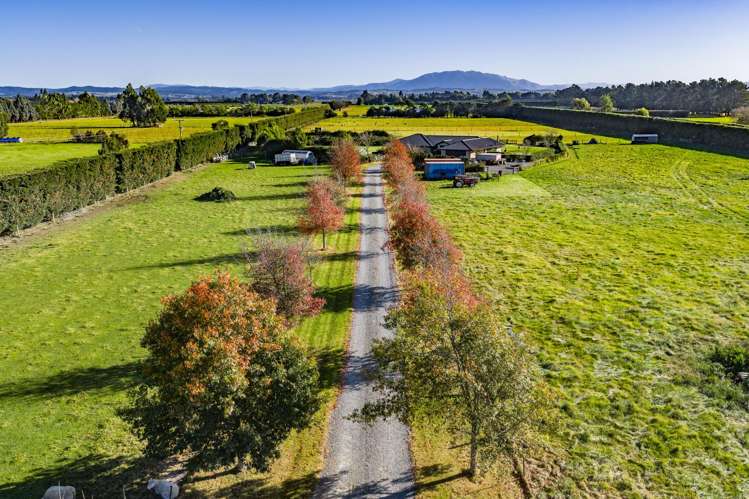 186 Terrace Road Leithfield_27
