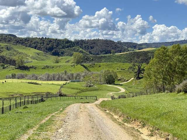 Prime Dairy Support and Maize Cropping Opportunity