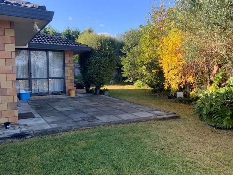 6 Pitoitoi Avenue Greenhithe_12